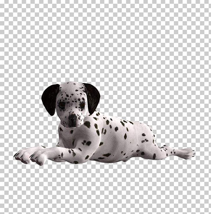 Dalmatian Dog Puppy Dog Breed Companion Dog Non-sporting Group PNG, Clipart, Animals, Art, Breed, Carnivoran, Companion Dog Free PNG Download