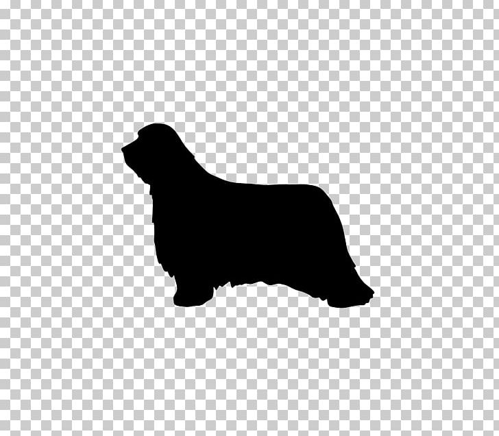 Dog Breed Dachshund Dandie Dinmont Terrier Miniature Pinscher Chihuahua PNG, Clipart, Afghan Hound, Black, Black And White, Breed, Carnivoran Free PNG Download