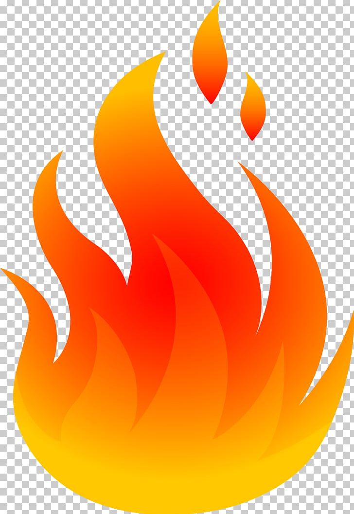Fire Flame PNG, Clipart, Beak, Campfire, Cartoon, Clip Art, Colored Fire Free PNG Download
