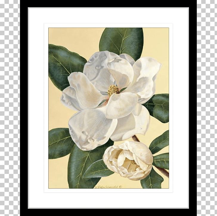 Magnolia Art Printmaking Painting Still Life PNG, Clipart, Art, Baron Von Lind, Canvas, Canvas Print, Flower Free PNG Download