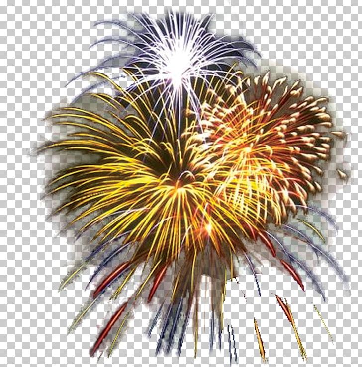 New Year Fireworks PNG, Clipart, Desktop Wallpaper, Event, Explosive Material, Fete, Fireworks Free PNG Download