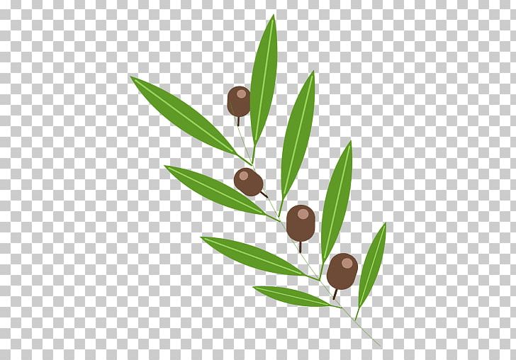 Olive Leaf Olive Leaf PNG, Clipart, Branch, Encapsulated Postscript, Food Drinks, Graphic Design, Grass Free PNG Download