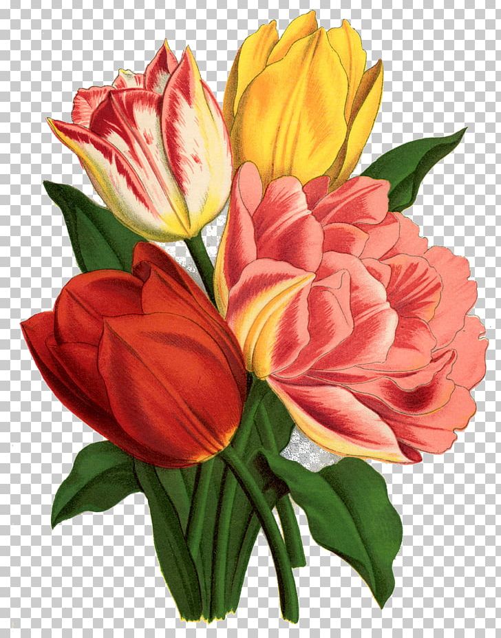 Tattoo Tulip Flower PNG, Clipart, Annual Plant, Art, Botanical Illustration, Botany, Cut Flowers Free PNG Download