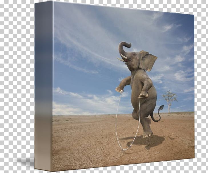 Indian Elephant Elephantidae Jumping Falls Church ELEPHANT JUMPS Thai PNG, Clipart, Canvas, Canvas Print, Elephant, Elephantidae, Elephants And Mammoths Free PNG Download