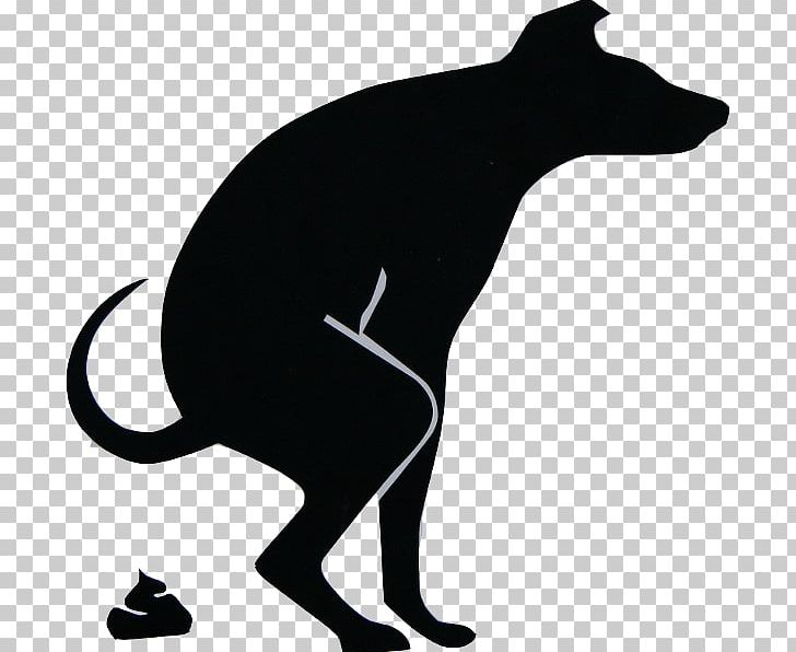 Puppy Labrador Retriever Companion Dog Canidae PNG, Clipart, Animal, Animals, Black, Black And White, Canidae Free PNG Download