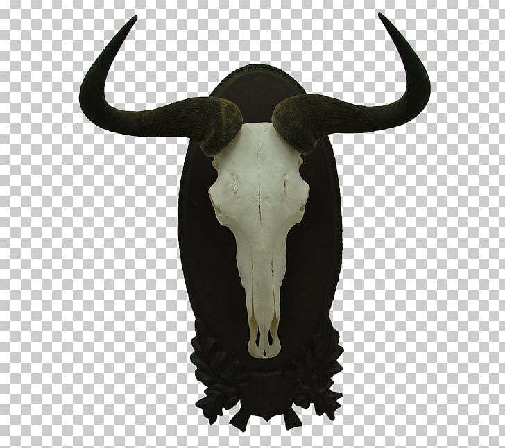 Elk Moose Deer Horn Antler PNG, Clipart, Alces, Animal, Animals, Antler, Arizona Free PNG Download