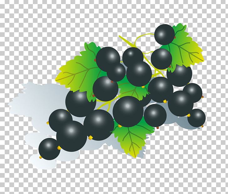 Fruit Grape Euclidean PNG, Clipart, Berry, Bilberry, Black, Black Background, Black Friday Free PNG Download