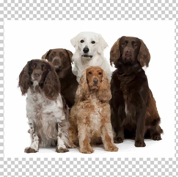 Golden Retriever Labrador Retriever Puppy Lulu's Dog Pawlour Dog Grooming PNG, Clipart,  Free PNG Download