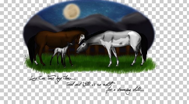 Horse Cattle Sheep Livestock Animal PNG, Clipart, Animal, Animals, Cattle, Cattle Like Mammal, Fauna Free PNG Download