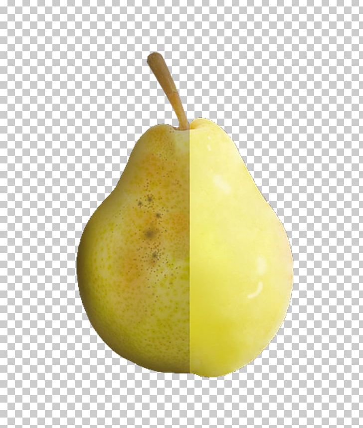 Pear Icon PNG, Clipart, Apple, Coarse, Download, Food, Fruit Free PNG Download