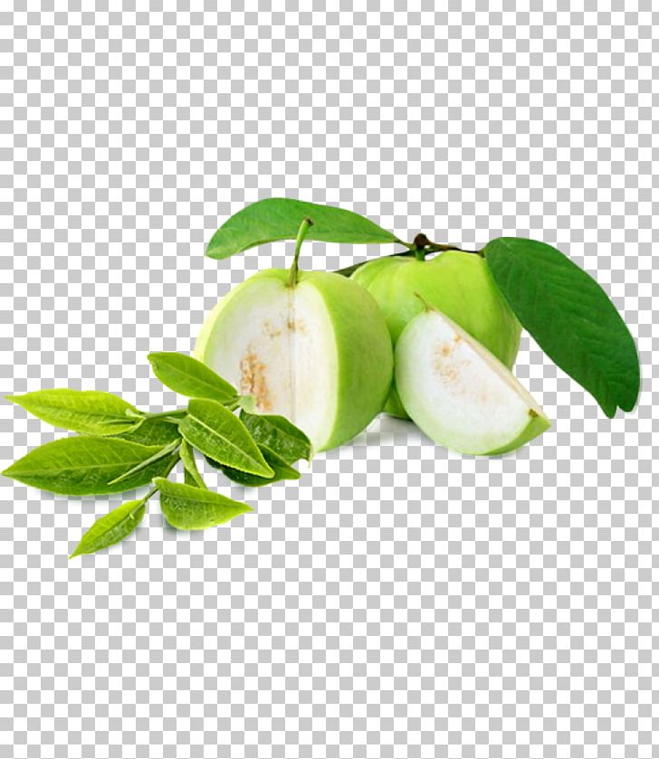 Portable Network Graphics Guava Punch Fruit PNG, Clipart, Apple, Common Guava, Diet Food, Food, Fruit Free PNG Download