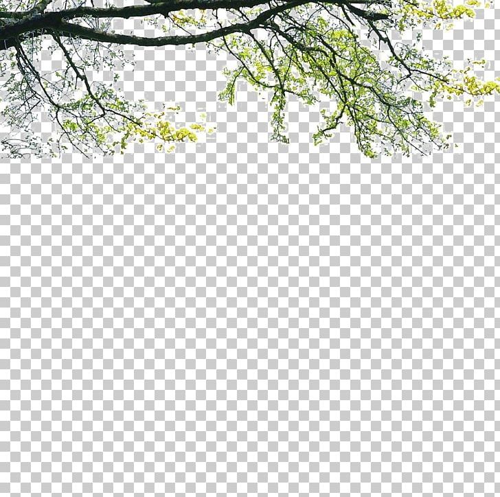 Tree Poster Landscape PNG, Clipart, Angle, Architecture, Area, Branch, Design Free PNG Download