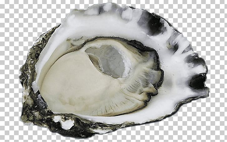 Oyster Bondi Trattoria Clam Child Eating PNG, Clipart,  Free PNG Download