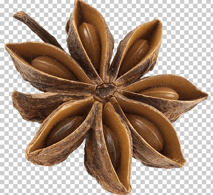 Star Anise Flavor Spice Liquid PNG, Clipart, Anis, Anise, Concentrate, Electronic Cigarette, Essential Oil Free PNG Download