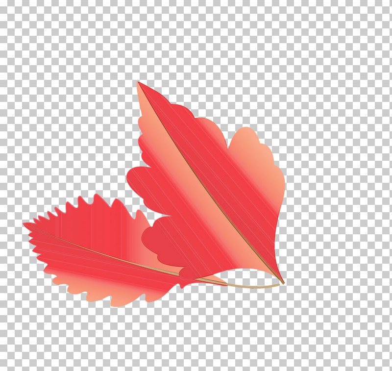 Petal PNG, Clipart, Autumn Leaf, Cartoon Leaf, Fall Leaf, Paint, Petal Free PNG Download