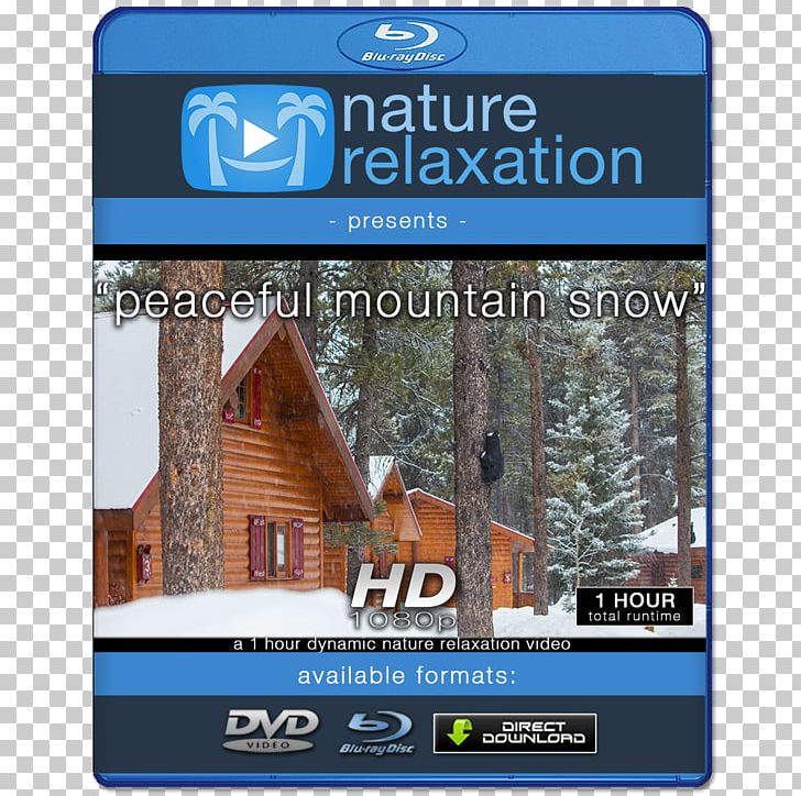 Blu-ray Disc High-definition Video High-definition Television 1080p PNG, Clipart, 4k Resolution, 1080p, Bluray Disc, Brand, Computer Monitors Free PNG Download