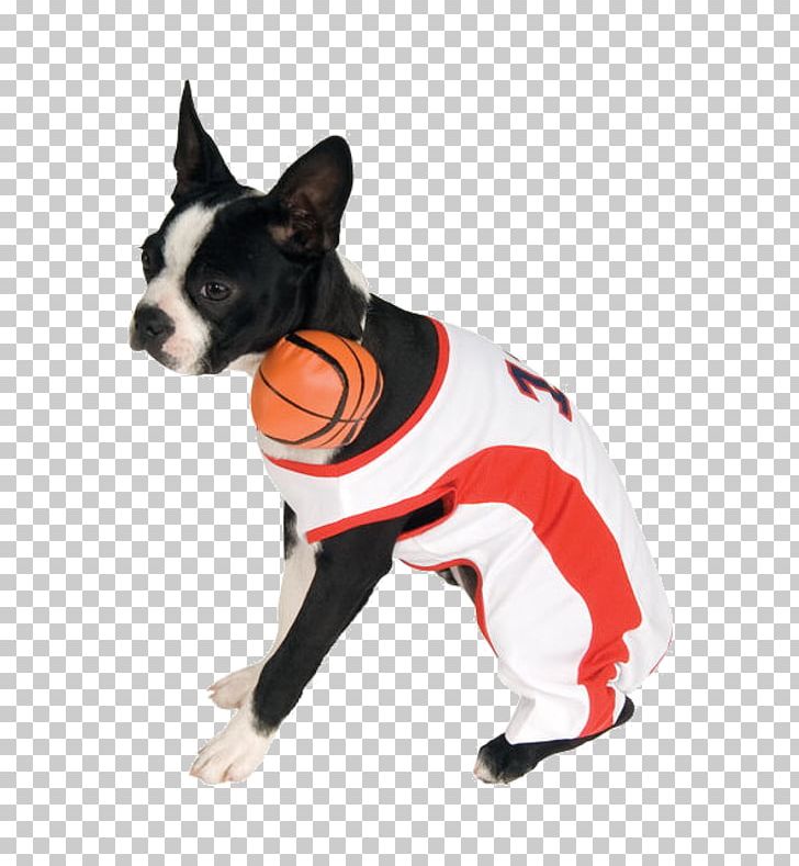 Dog Breed Pet Basketball Companion Dog PNG, Clipart,  Free PNG Download