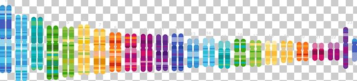 23andMe Genetic Testing Genetics Genomics DNA PNG, Clipart, 23andme, Ancestrycom Inc, Angle, Anne Wojcicki, Chromosome Free PNG Download