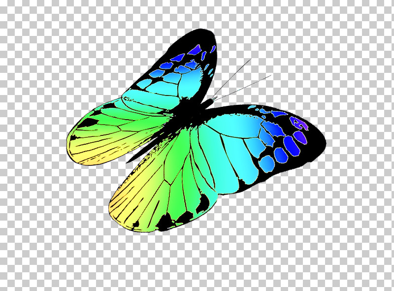 Monarch Butterfly PNG, Clipart, Brushfooted Butterflies, Butterflies, Microsoft Azure, Monarch Butterfly, Pieridae Free PNG Download