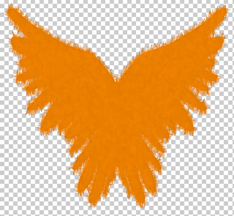 Orange PNG, Clipart, Leaf, Orange, Wing, Yellow Free PNG Download