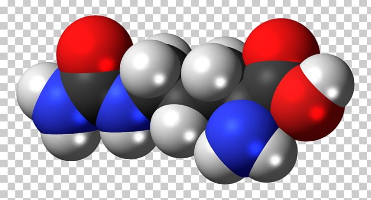 Citrulline Dietary Supplement Nitric Oxide Amino Acid Arginine PNG, Clipart, Acid, Amino Acid, Arginine, Ball, Blue Free PNG Download