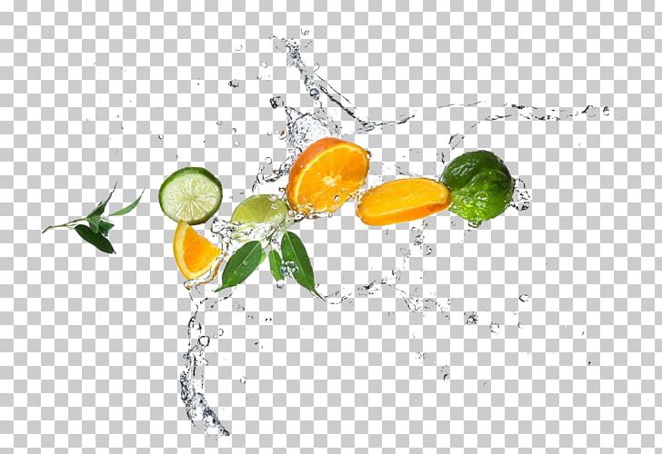 Fruit Auglis Orange PNG, Clipart, Auglis, Bead, Citrus, Computer Wallpaper, Droplets Free PNG Download
