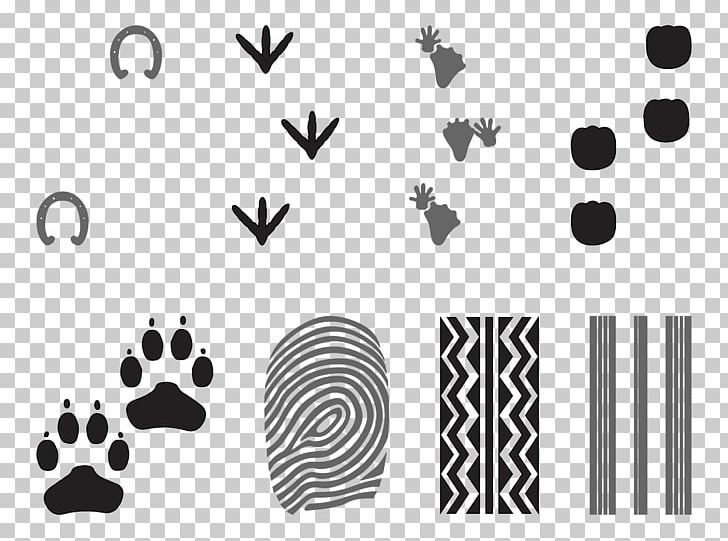 Various Textures PNG, Clipart, Angle, Animal, Art, Black, Black And White Free PNG Download