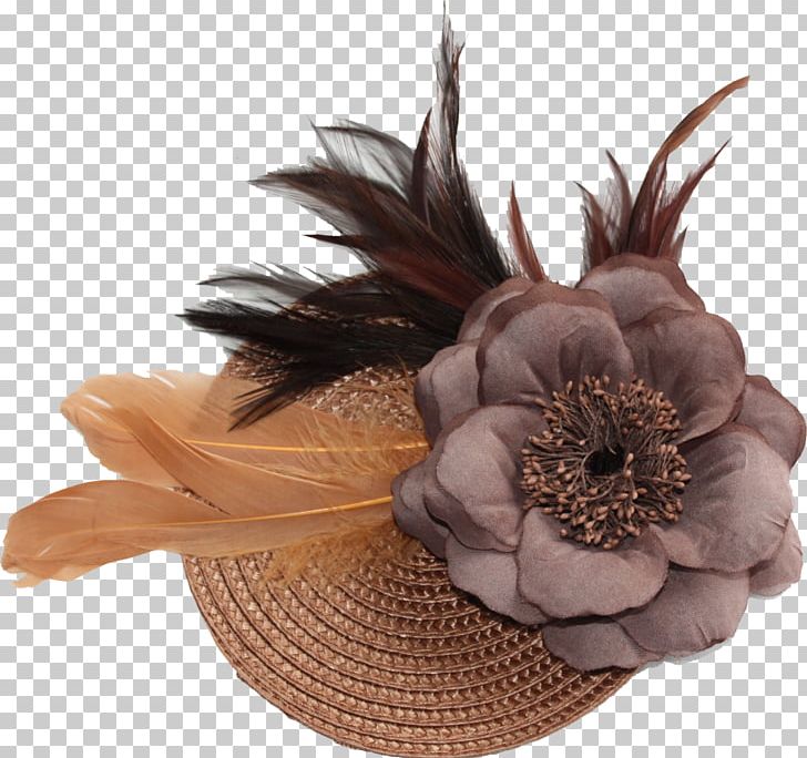 Cut Flowers Hat PNG, Clipart, Clothing, Cut Flowers, Feather, Fiesta De La Flor, Flower Free PNG Download