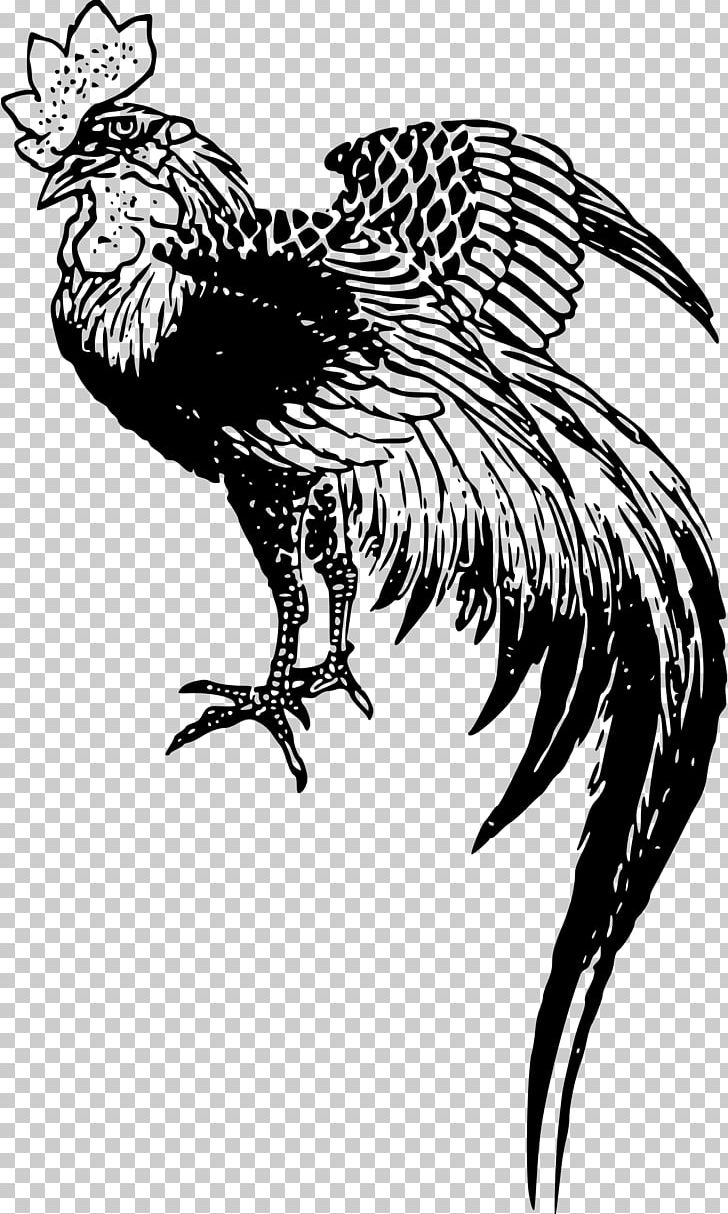 Chicken Rooster Drawing PNG, Clipart, Animals, Beak, Bird, Bird Of Prey, Black And White Free PNG Download