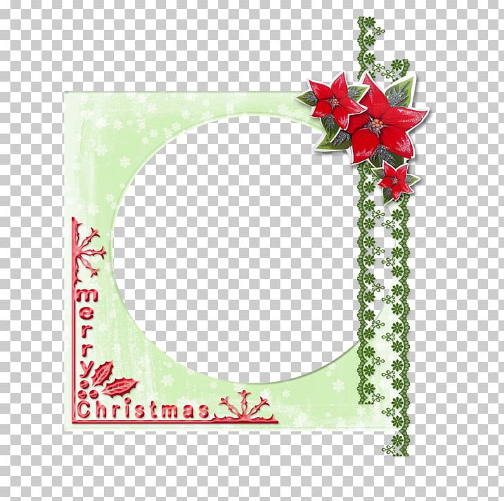 Christmas Ornament Christmas Day Mitosis Floral Design Arrest PNG, Clipart, Aquifoliaceae, Arrest, Christmas Day, Christmas Decoration, Christmas Ornament Free PNG Download
