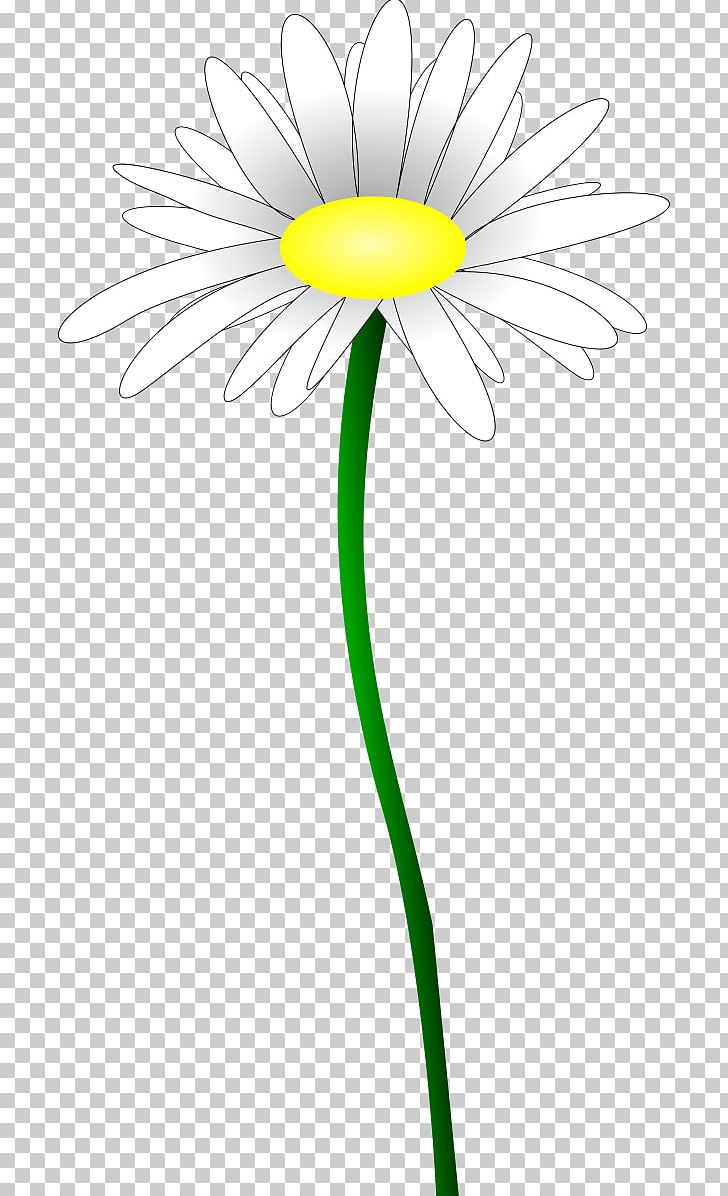 Daisy Family Oxeye Daisy Common Daisy Flower Yellow PNG, Clipart, Black, Black And White, Common Daisy, Daisy, Daisy Family Free PNG Download