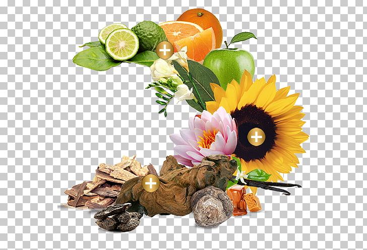 Floral Design Cut Flowers Vegetarian Cuisine Natural Foods PNG, Clipart, Common Sunflower, Cut Flowers, Floral Design, Floristry, Flower Free PNG Download