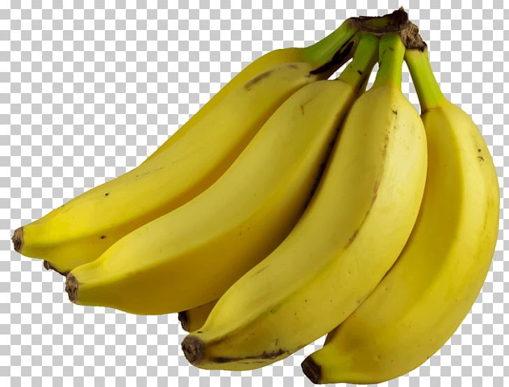 Saba Banana Musa Balbisiana Cooking Banana PNG, Clipart, 3d Computer Graphics, Banana, Banana Family, Banana Fruit, Bananas Free PNG Download
