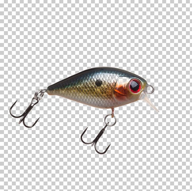 Spoon Lure Perch Fish AC Power Plugs And Sockets PNG, Clipart, Ac Power Plugs And Sockets, Bait, Fish, Fishing Bait, Fishing Lure Free PNG Download