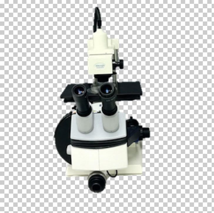 Fluorescence Microscope Keyword Tool Spectrum PNG, Clipart, Bio, Ciliate, Common Fruit Fly, Embryo, Fbs Free PNG Download