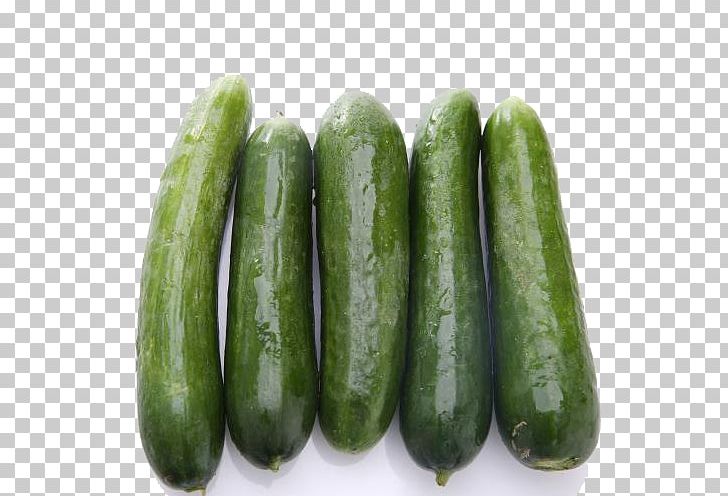 Pickled Cucumber Spreewald Gherkins Vegetable PNG, Clipart, Autumn Cucumber, Autumn Leaf, Autumn Leaves, Autumn Tree, Autumn Vegetable Cucumber Free PNG Download