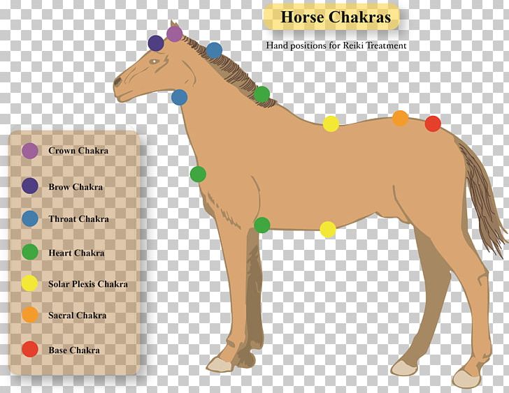 Pony Horse Crystal Healing Stallion Dog PNG, Clipart, 883 The Journey, Alternative Health Services, Animals, Chakra, Crystal Healing Free PNG Download