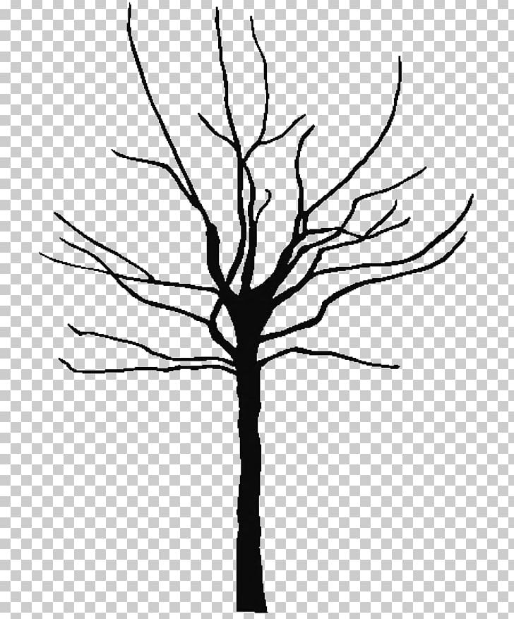 Tree Oak Black And White PNG, Clipart, Black And White, Branch, Clip ...