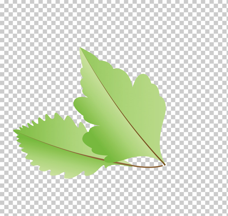 Leaf Green M-tree Meter Tree PNG, Clipart, Autumn Leaf, Biology, Cartoon Leaf, Fall Leaf, Green Free PNG Download
