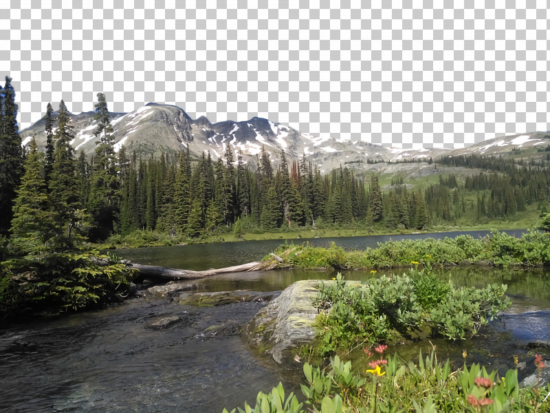 Mount Scenery Plant Community Riparian Zone Vegetation Wilderness PNG, Clipart, Conifers, Forest, Hill Station, Land Lot, Mount Scenery Free PNG Download