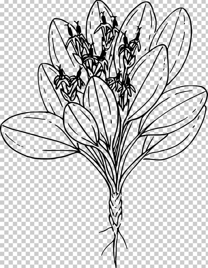 Cut Flowers Floral Design /m/02csf Everyday Life PNG, Clipart, Artwork, Black And White, Butterfly, Fictional Character, Flower Free PNG Download