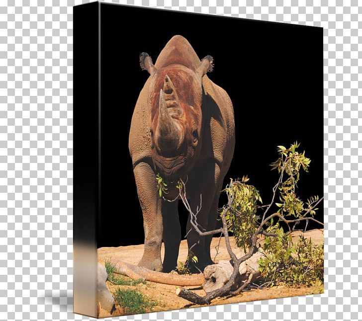 Indian Elephant Rhinoceros Wildlife Terrestrial Animal PNG, Clipart, Animal, Elephant, Elephantidae, Elephants And Mammoths, Fauna Free PNG Download