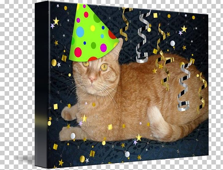 Tabby Cat Whiskers Kitten Birthday PNG, Clipart, Animal, Animals, Birthday, Canvas Print, Carnivoran Free PNG Download