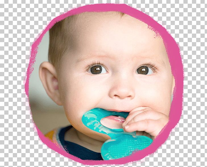 Teething Baby Food Infant Child Gums PNG, Clipart, Babycenter, Baby Food, Baby Toys, Chamomilla, Cheek Free PNG Download
