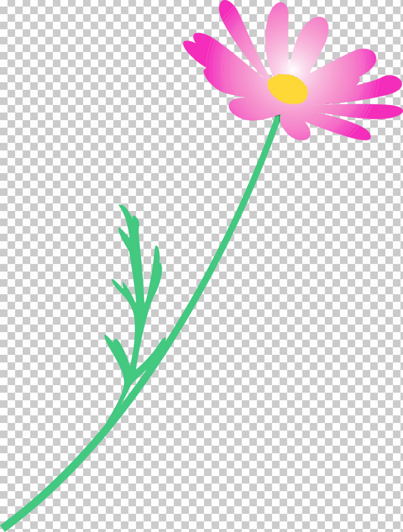 Flower Pedicel Plant Chamomile Plant Stem PNG, Clipart, Chamomile, Daisy Family, Flower, Marguerite Flower, Paint Free PNG Download