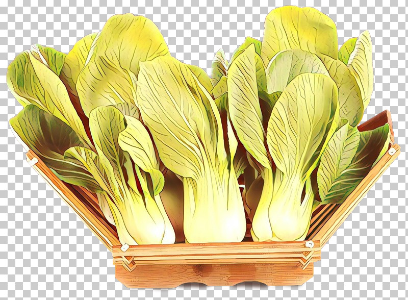 Flower Plant Chinese Cabbage Vegetable Petal PNG, Clipart, Chinese Cabbage, Flower, Herbaceous Plant, Leaf Vegetable, Petal Free PNG Download