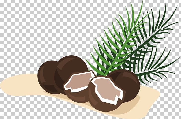 Coconut PNG, Clipart, Coconut, Coconut Leaf, Coconut Leaves, Coconut Milk, Coconut Oil Free PNG Download