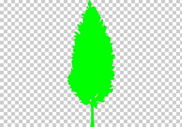 Fir Tree Computer Icons Spruce Pine PNG, Clipart, Christmas Tree, Computer Icons, Conifer, Fir, Grass Free PNG Download