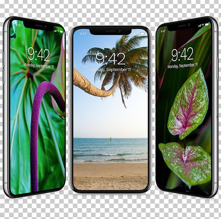 IPhone X Apple IPhone 8 Plus Desktop Samsung Galaxy S8 PNG, Clipart, Apple, Apple Iphone 8 Plus, Desktop Wallpaper, Grass, Invertebrate Free PNG Download