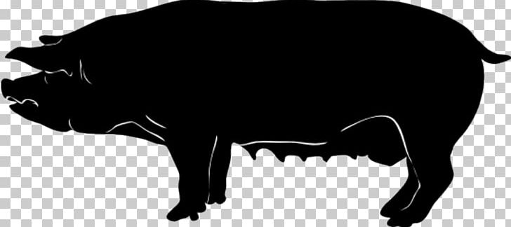 Domestic Pig Silhouette PNG, Clipart, Animals, Bison, Black, Black And White, Bull Free PNG Download